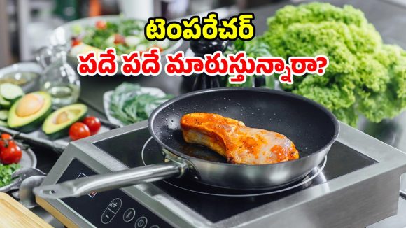 ఇండక్షన్ స్టవ్ వాడుతున్నారా? చాలామందికి తెలియని షాకింగ్ నిజాలు!