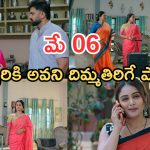 Intinti Ramayanam Today Episode: తమ్ముడు మాటతో అవని కన్నీళ్లు..రాజేశ్వరి ఇంటికి ప్రణతి, భరత్.. పల్లవి ప్లాన్ సక్సెస్..