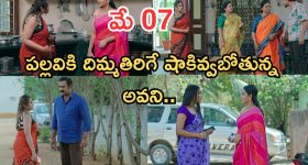 Intinti Ramayanam Today Episode: అవనికి దిమ్మతిరిగే షాకిచ్చిన పల్లవి.. కొడుకు కోసం మీనాక్షి వెయిటింగ్.. నిజం చెప్పబోతున్న అవని..