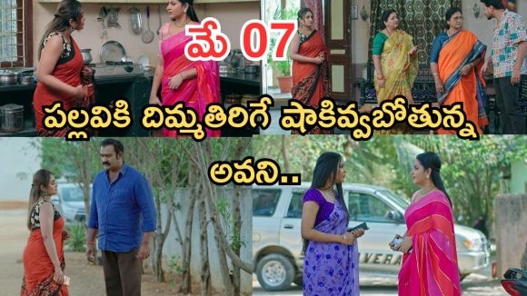 Intinti Ramayanam Today Episode: అవనికి దిమ్మతిరిగే షాకిచ్చిన పల్లవి.. కొడుకు కోసం మీనాక్షి వెయిటింగ్.. నిజం చెప్పబోతున్న అవని..