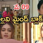 Intinti Ramayanam Today Episode: పల్లవి నిజంగా చచ్చిపోతుందా..? షాక్ లో రాజేశ్వరి.. మీనాక్షికి ఏమైంది..?