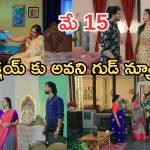Intinti Ramayanam Today Episode: పల్లవి తిక్కకుదిరింది.. అవని ఫుల్ హ్యాపీ.. భరత్ కు దిమ్మతిరిగే షాక్..