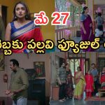 Intinti Ramayanam Today Episode: చక్రధర్ కు పల్లవి వార్నింగ్.. అవని దెబ్బకు ఫ్యూజుల్ అవుట్.. ఇది కదా అసలు ట్విస్ట్..