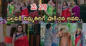 Intinti Ramayanam Today Episode: చక్రధర్ పై రాజేశ్వరి సీరియస్.. పల్లవికి అనుమానం.. అసలు నిజం తెలుస్తుందా..?
