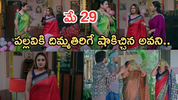 Intinti Ramayanam Today Episode: చక్రధర్ పై రాజేశ్వరి సీరియస్.. పల్లవికి అనుమానం.. అసలు నిజం తెలుస్తుందా..?
