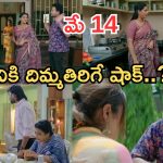 Intinti Ramayanam Today Episode: పల్లవికి అవని స్ట్రాంగ్ వార్నింగ్.. భరత్, ప్రణతిల మధ్య చిచ్చు.. పల్లవికి మైండ్ బ్లాక్..