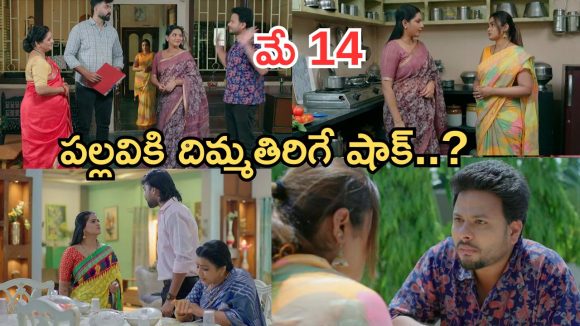 Intinti Ramayanam Today Episode: పల్లవికి అవని స్ట్రాంగ్ వార్నింగ్.. భరత్, ప్రణతిల మధ్య చిచ్చు.. పల్లవికి మైండ్ బ్లాక్..