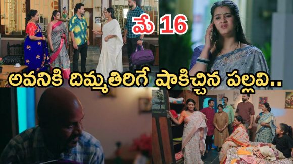 Intinti Ramayanam Today Episode: అవనిపై పార్వతి ప్రశంసలు.. పల్లవి మాస్టర్ ప్లాన్.. 50 లక్షలు కొట్టేసిన దొంగ..
