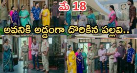Illu illaalu Pillalu : 'ఇల్లు ఇల్లాలు పిల్లలు ' సుకన్య రియల్ లైఫ్.. ఒక్కరోజుకు రెమ్యూనరేషన్ ఎంత..?
