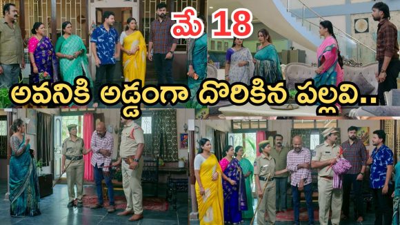 Intinti Ramayanam Today Episode: పల్లవి ఫుల్ హ్యాపీ.. దొంగను పట్టుకున్న అవని.. ఇదేం ట్విస్ట్ స్వామీ..