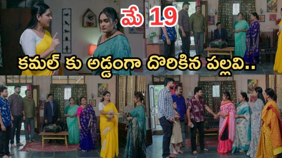 Intinti Ramayanam Today Episode: పల్లవికి అవని స్ట్రాంగ్ వార్నింగ్.. కన్నీళ్లు పెట్టుకున్న కమల్.. పల్లవి నిజస్వరూపం తెలుస్తుందా..?
