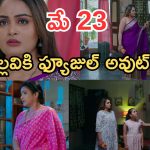 Intinti Ramayanam Today Episode: పల్లవికి మరో షాక్.. రాజేశ్వరి పై అనుమానం.. కమల్ దెబ్బకు ఫ్యూజుల్ అవుట్..