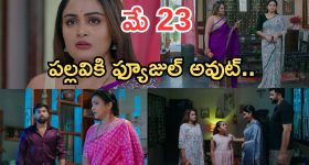 Intinti Ramayanam Today Episode: పల్లవికి మరో షాక్.. రాజేశ్వరి పై అనుమానం.. కమల్ దెబ్బకు ఫ్యూజుల్ అవుట్..
