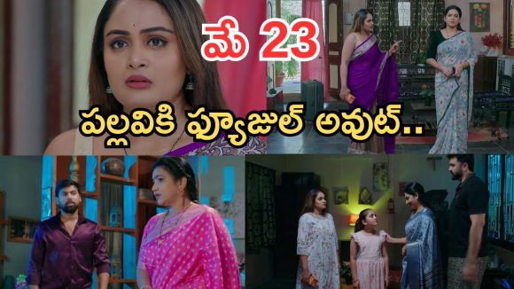 Intinti Ramayanam Today Episode: పల్లవికి మరో షాక్.. రాజేశ్వరి పై అనుమానం.. కమల్ దెబ్బకు ఫ్యూజుల్ అవుట్..
