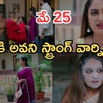 Intinti Ramayanam Today Episode: ఆరాధ్య కోరిక తీరుతుందా..? అవనికి దెబ్బ అదుర్స్.. ఇది కదా అసలు ట్విస్ట్..