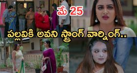 పుచ్చకాయ అమృతమే.. కానీ ఈ పదార్థాలతో కలిపి తింటే.. మాత్రం విషంతో సమానం!