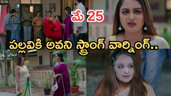 Intinti Ramayanam Today Episode: ఆరాధ్య కోరిక తీరుతుందా..? అవనికి దెబ్బ అదుర్స్.. ఇది కదా అసలు ట్విస్ట్..