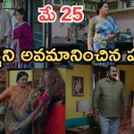 Intinti Ramayanam Today Episode: అన్నదమ్ముల సెంటిమెంట్ సీన్.. మీనాక్షికి అవమానం.. పల్లవికి వాతలు పెట్టిన భానుమతి..