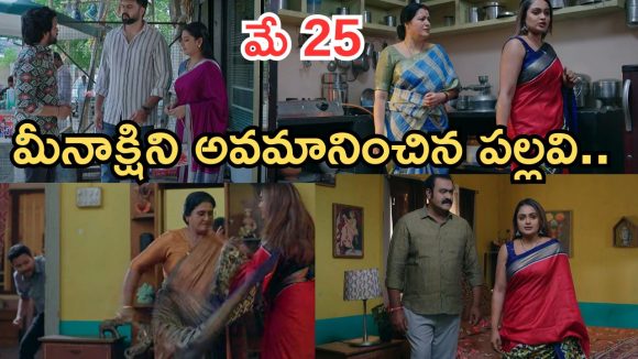 Intinti Ramayanam Today Episode: అన్నదమ్ముల సెంటిమెంట్ సీన్.. మీనాక్షికి అవమానం.. పల్లవికి వాతలు పెట్టిన భానుమతి..