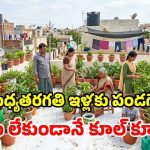 4,000 ఇళ్ల సక్సెస్ ఫార్ములా.. టెర్రస్‌పై ఈ చిన్న ట్రిక్‌తో.. ఇల్లంతా చల్లచల్లగా!