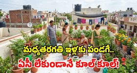 అఖిల్ అక్కినేని ‘లెనిన్’ టీజర్ వచ్చేసింది.. ఈ సారి ‘లెనిన్’ అయినా కాపాడుతుందా అఖిల్‌ని!..