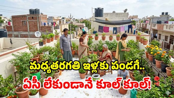 4,000 ఇళ్ల సక్సెస్ ఫార్ములా.. టెర్రస్‌పై ఈ చిన్న ట్రిక్‌తో.. ఇల్లంతా చల్లచల్లగా!