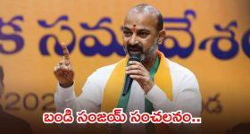 హిందీ ఇండస్ట్రీకి దమ్ము లేదు.. అంతా సేఫ్ జోన్ డ్రామాలే...సమీరా రెడ్డి షాకింగ్ కామెంట్స్!