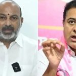 Hyderabad: బండి సంజయ్‌పై కేటీఆర్ కామెంట్స్.. ఆ  పంచాయితీ లేదు,  కాక్రోచ్ పార్టీ గురించి కూడా