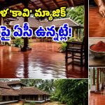 300 ఏళ్లుగా సూపర్ సక్సెస్.. కేరళ ‘కావి’ ఫ్లోరింగ్‌తో.. ఇల్లు ఎప్పుడూ కూలే!