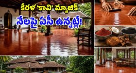 300 ఏళ్లుగా సూపర్ సక్సెస్.. కేరళ 'కావి' ఫ్లోరింగ్‌తో.. ఇల్లు ఎప్పుడూ కూలే!