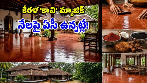 300 ఏళ్లుగా సూపర్ సక్సెస్.. కేరళ ‘కావి’ ఫ్లోరింగ్‌తో.. ఇల్లు ఎప్పుడూ కూలే!