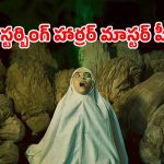దేవుడికి పూజలు చేస్తుంటే మధ్యలో దెయ్యం గోల ఒకటి… బాబోయ్ ప్యాంటు తడిపించే సీన్లు