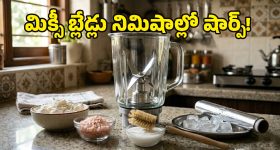 షాకింగ్ రిజల్ట్స్.. కోడిగుడ్డు పెంకులతో మిక్సీ బ్లేడ్ల పదును, అదెలాగో చూసేద్దాం రండి!