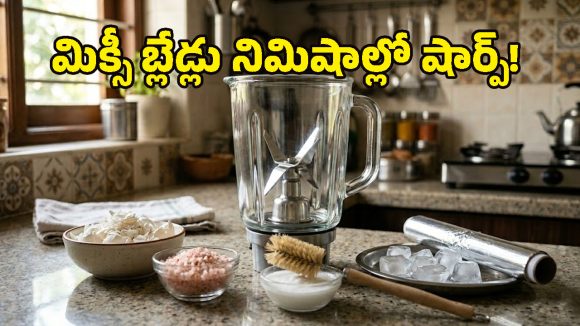 షాకింగ్ రిజల్ట్స్.. కోడిగుడ్డు పెంకులతో మిక్సీ బ్లేడ్ల పదును, అదెలాగో చూసేద్దాం రండి!