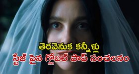 భారతదేశంలో స్కైడైవింగ్... ఎక్కడెక్కడ చేయవచ్చో తెలిస్తే సాహస ప్రియులు ఎగిరి గంతేస్తారు