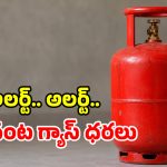 LPG Prices: సిలిండర్ ధర పెరిగిందా? తగ్గిందా?.. గ్యాస్ బుక్ చేసే ముందు ఇది తెలుసుకోండి ఫస్ట్!