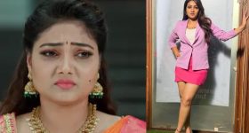 Lakshmi Raave Maintiki Sindhu : 'లక్ష్మీ రావే మా ఇంటికి ' సింధు రియల్ లైఫ్.. ఒక్కరోజు రెమ్యూనరేషన్..?
