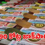 30 ఏళ్ల ‘ఒకే నంబర్’ మ్యాజిక్.. 390 కోట్ల జాక్‌పాట్