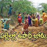 జూలై 1 నుంచి ఉపాధి హామీ బంద్.. కేంద్రం తెస్తున్న కొత్త చట్టం వెనుక అసలు కథ ఇదేనా?
