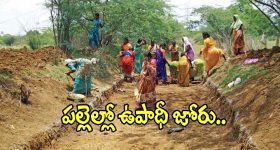 సైదాపూర్‌లో కల్తీ పెరుగు కలకలం.. VLR డెయిరీ లీలలు బయటపెట్టిన ల్యాబ్ రిపోర్ట్..!