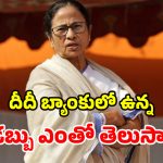 సొంత కారు లేదు.. ఇల్లు లేదు.. దేశంలో నిరుపేద సీఎం మమతేనట!