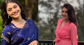 Illu Illaalu Pillalu Prema : 'ఇల్లు ఇల్లాలు పిల్లలు ' ప్రేమ రియల్ లైఫ్.. ఒక్కరోజు రెమ్యూనరేషన్..?