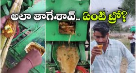 ఛీ, యాక్.. మటర్ పనీర్ చెరకు రసం, ఎలా వస్తాయ్ రా ఇలాంటి చెత్త ఐడియాలు?