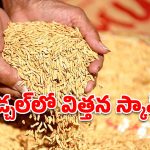 మేడ్చల్‌లో భారీ విత్తన స్కామ్.. రూ.2.5 కోట్లు సీజ్!