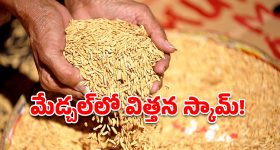 మేడ్చల్‌లో భారీ విత్తన స్కామ్.. రూ.2.5 కోట్లు సీజ్!
