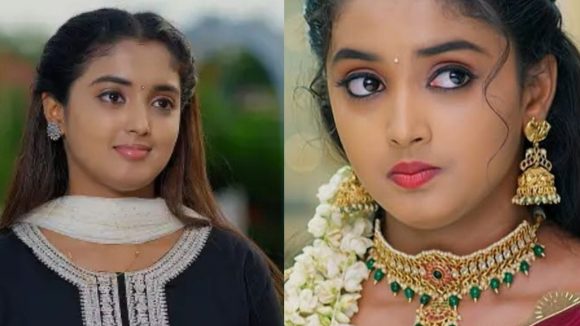 Meghasandesam Bhumi : భూమి గురించి మెంటలెక్కించే న్యూస్.. రియల్ లైఫ్ లో ట్విస్ట్..