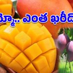 ప్రపంచంలోనే ఖరీదైన మామిడి.. మన దగ్గరకొచ్చింది.. కొనాలంటే ఆస్తులు అమ్మాల్సిందే!