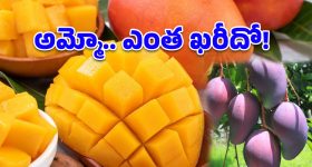 Shraddha Das: నడుము అందాలతో శ్రద్దాదాస్ హొయలు.. కిక్కెక్కించే ఫోజులతో!