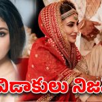ప్రేమ పెళ్లి.. నాలుగేళ్లకే పెటాకులు…డైవోర్స్ నిజమేనంటున్న బాలీవుడ్ బ్యూటీ