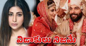ప్రేమ పెళ్లి.. నాలుగేళ్లకే పెటాకులు...డైవోర్స్ నిజమేనంటున్న బాలీవుడ్ బ్యూటీ